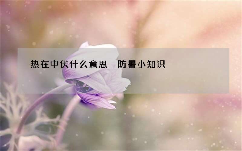 热在中伏什么意思 防暑小知识